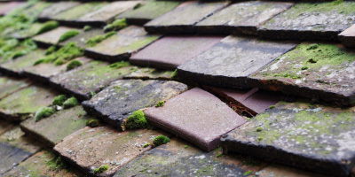 Egremont roof repair costs